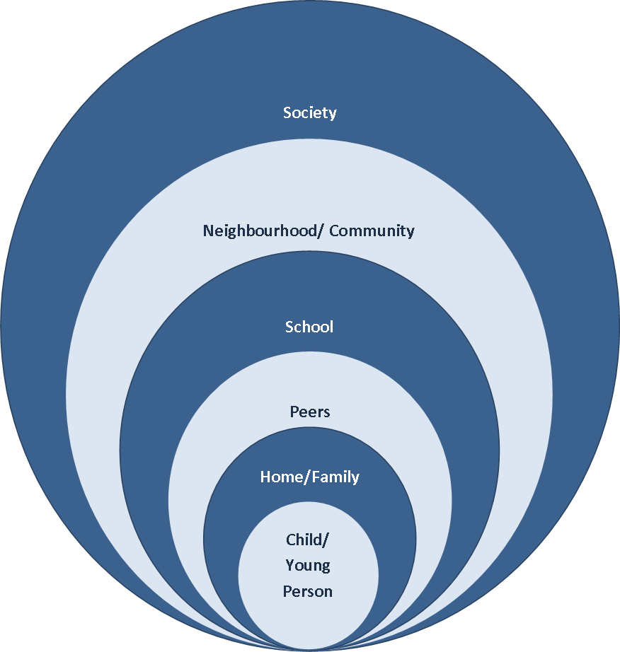 understand the national and local context of safeguarding